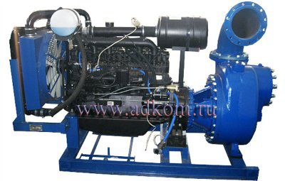 �������� ��������� c �������� STRONG