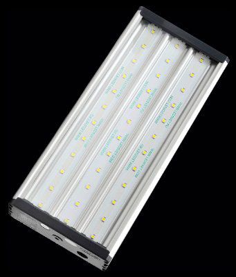 ��і36/100 - ������������ ����������