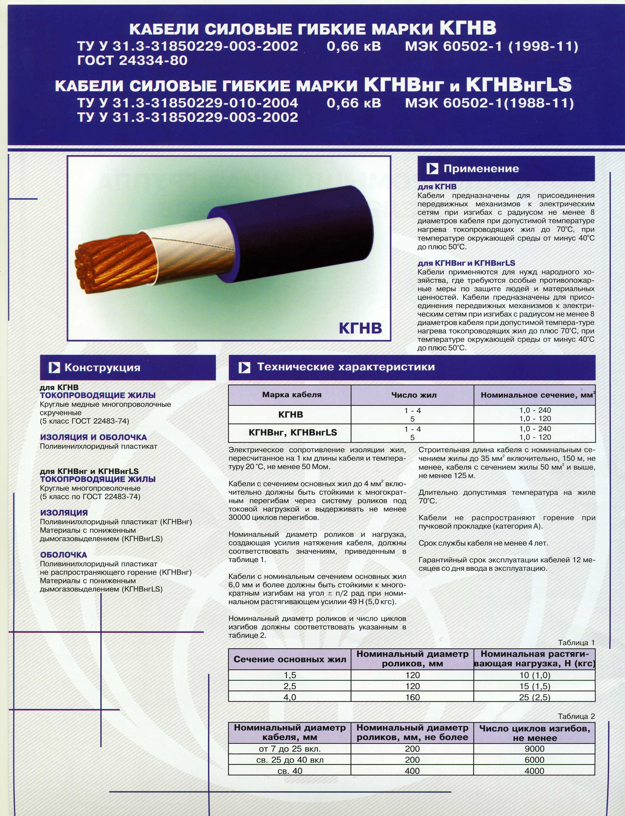 ������ ������ ����