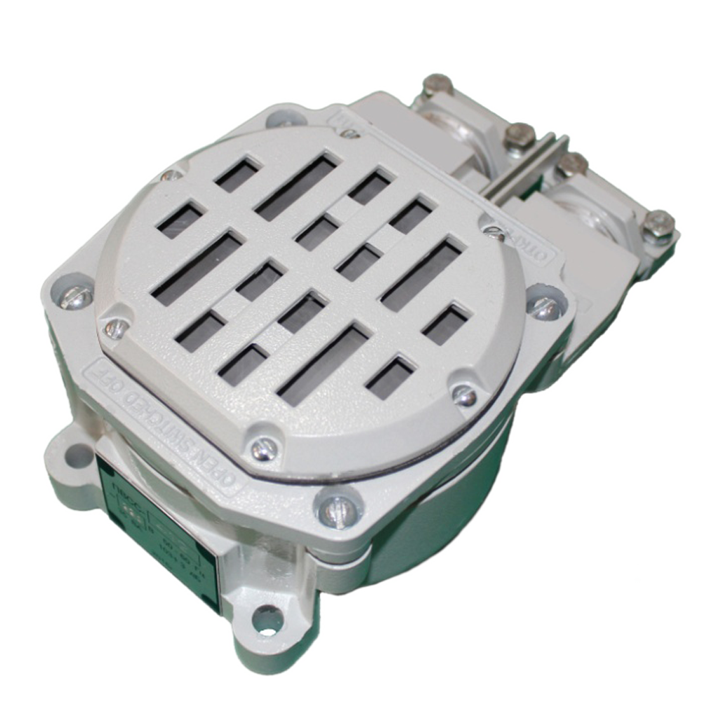 ���� ���������������� ������ ����������� ���� ����