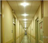 ������������ ��� ���������, �����������