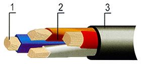 ������ ������� ����