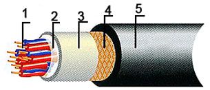 ������ �������