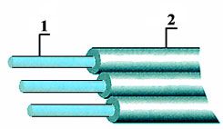 ������ ������� ����