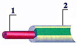 ������ ������� ���