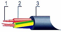 ������ ������� ����