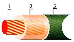 ������ ������� ����