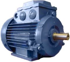 ���������������� ���315