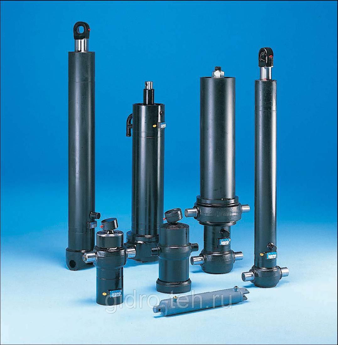 ������ ��������������� ��������������