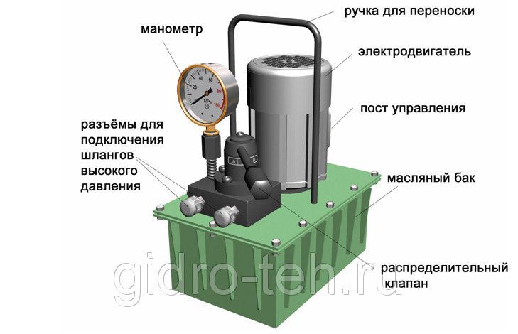 ������������ �������� ��������