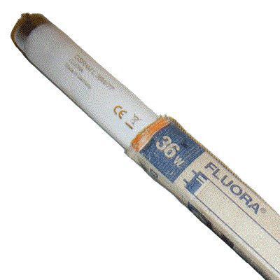 ����� 36W L 36/77 OSRAM FLUORA G13, L=1200 mm