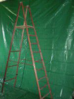 ��������� ����������������� ���-3,5