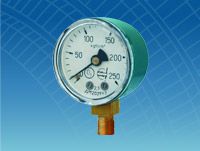 �������� ��2029