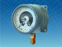 ��������� ��2010��