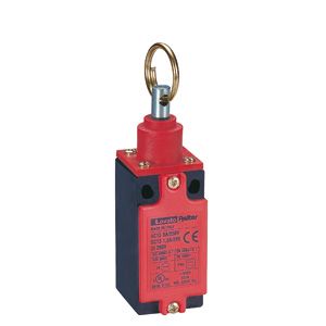 RS31310 �������� ����������� � �������� ��������� �������, 2�� ����. ����.  ��� ������ �����������, ������ ����. 25�