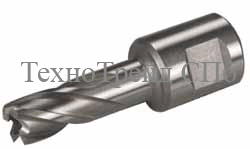 ��������� ����������� ����� 19�� � 50�� ��������������