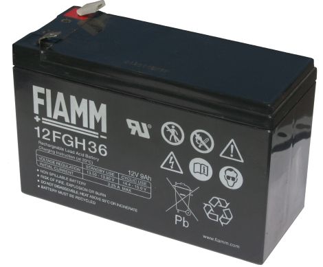 �������������� ������� FIAMM 12FGH36 (FGH 20902 12/9)