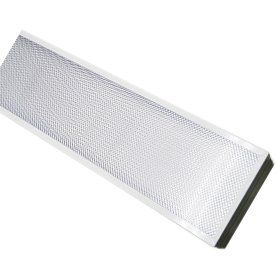 ��������� ���������� 40 ���� ����������� ������