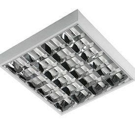 ������������ ��������� ���������� 40 ���� �������� �����