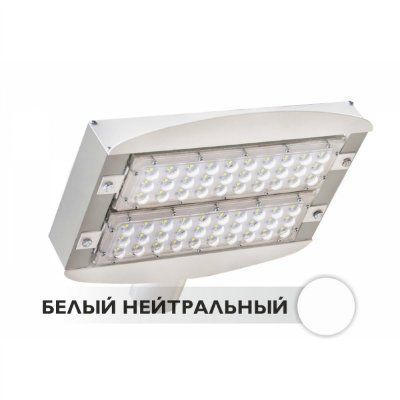 ������������ ���������� ��� M2 60W 220V IP66 85x135�� NI (NW)