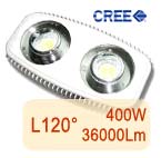 ������ ������������ ��������� RGL-400-L120�