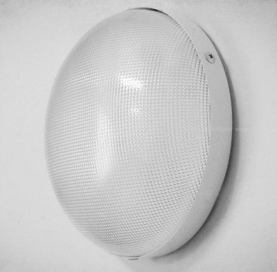 ���������� ��� ��� 12 ��