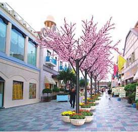 ������������ ������ "�����" (���. CBL-08 �� ��������)������: 1,6 m, ������: 2,5 m ���������� ����������� �� �������:1782 ��.)���� ������