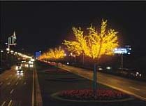 ������������ ������ "�����" (���. CBL-08 �� ��������)������: 3,7 m, ������: 8,0 m ���������� ����������� �� �������:11296 ��.)���� �������