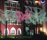 ������������ ������ "�����" (���. CBL-08 �� ��������)������: 2,6 m, ������: 5,5 m ���������� ����������� �� �������:5792 ��.)���� ����������