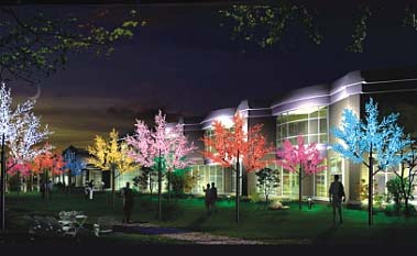 ������������ ������� "�����" (���.CBL-NO2)������: 1,8 �, ������:2,3 �. ���������� ����������� �� �������: 1728 ��. ����: �����