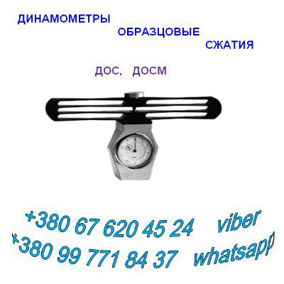 ����������� ����, ����, ���, ���, ���� ��������, ����������, ���������