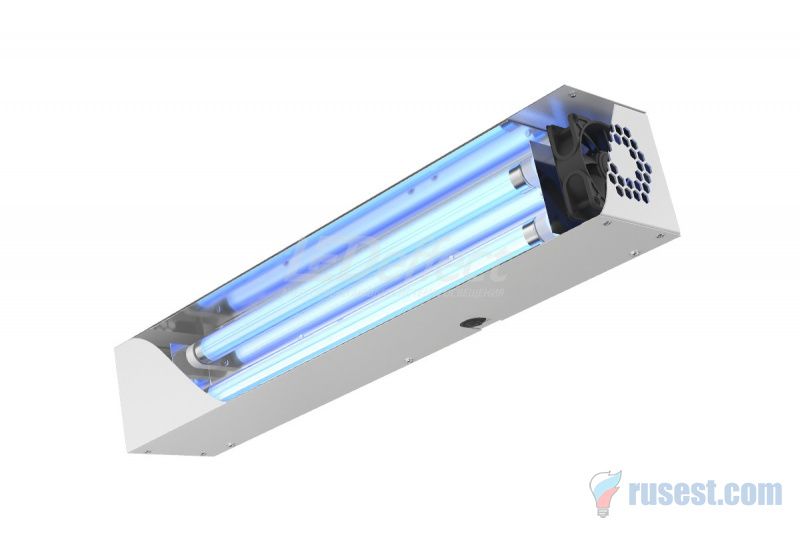 ������������� ������������ 