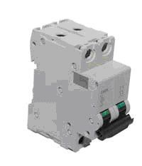 �������������� �����������, ���. C60N 2P 3� �