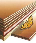 ��������������� ��������������� ����� ���-�