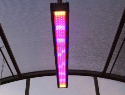 ������������ ���������� ��� ���-03-060-036-56-�-����