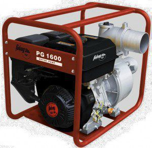 ��������� Fubag PG 1000 � ���������� Fubag