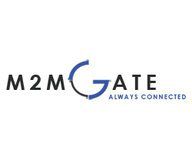 M2MGate Serial Switch - TCP/IP-������� ���������� �������� ������ ����� GPRS-�����