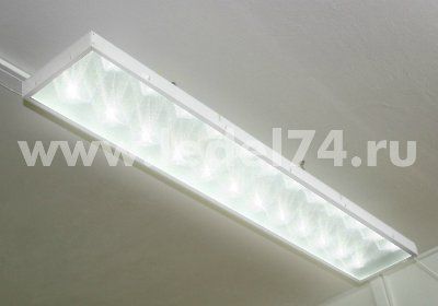 ������� ������������ ���������� L-SCHOOL 24 ���������