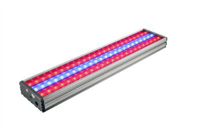 ������� ������������ ���������� ��� 70 ���