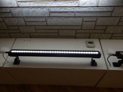 ���������� ��� ������������ ��������� ��������-�����-����/������-������������