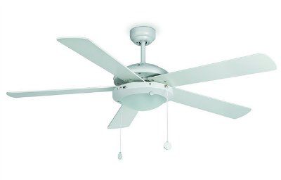 ������ - ���������� Manila (������)