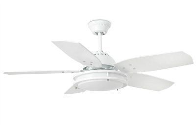 ������ - ���������� Bristol Blanco (�������� �����)