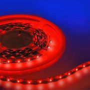 ����� ������������ HUMAN CARE HC-3528-60LED/m-8mm-IP20-DC12V-5M-R (�������)