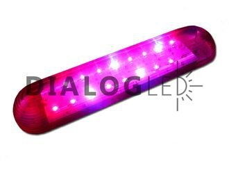 ������������ �������������� ��� ��������. �������� 12 ����. ���������� ���������� ��� ������ � ����������� �������.