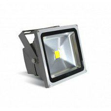 SW-50W ������������ ��������� 1LED, AC220V, ���� ����� (��� ��000068)