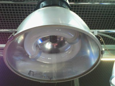 ������������ ���������� NZG008-250W