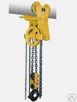 ���� ������