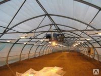 ��������� ����������� ����. ���� ��������� �