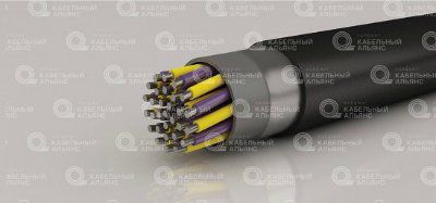 ��������(�)