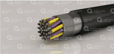 ���������(�)